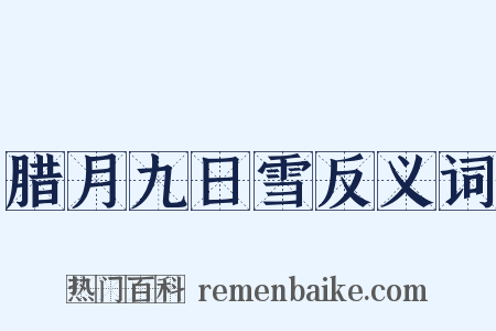 腊月九日雪反义词是什么意思的图片